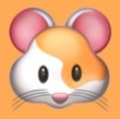 色天堂APP最新版